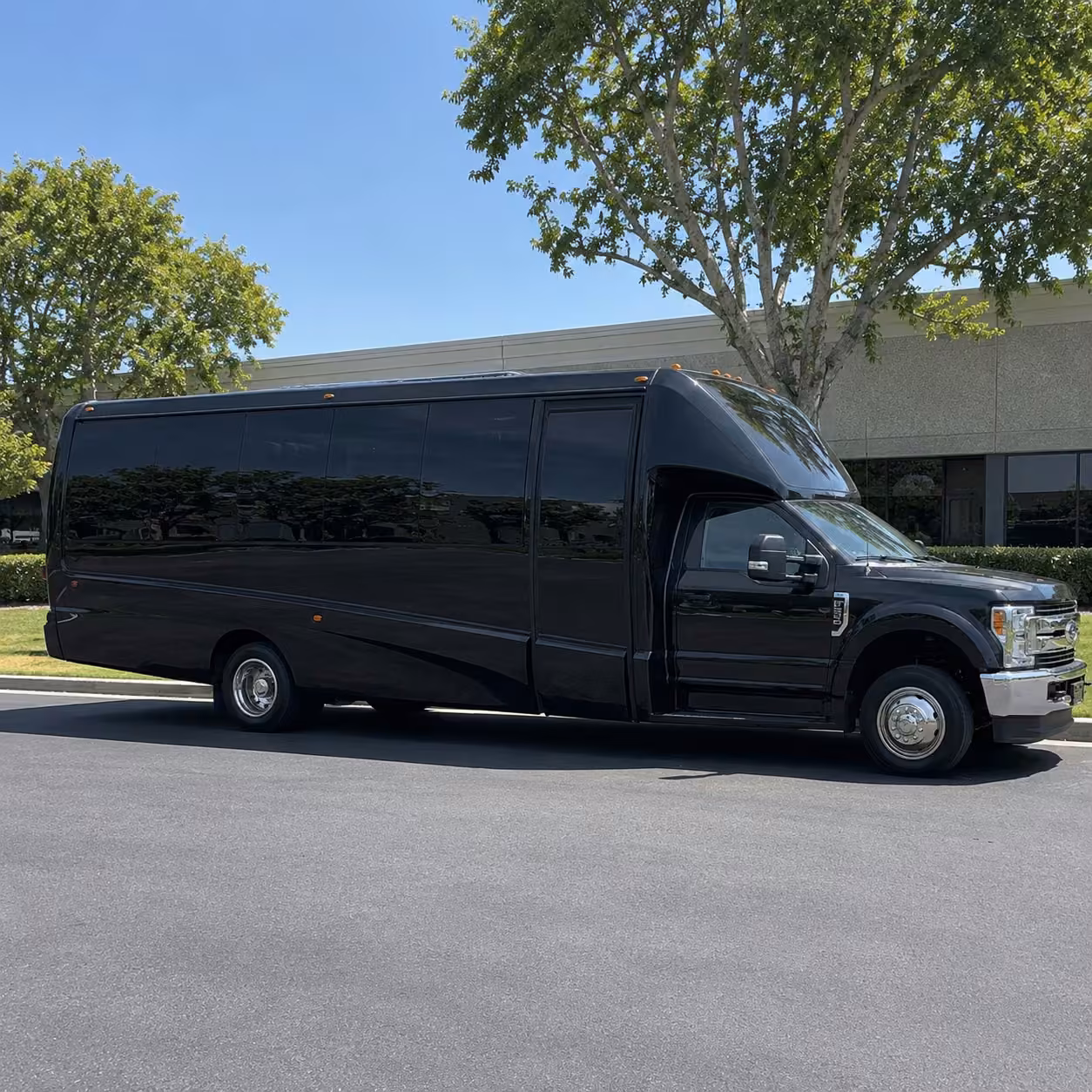 15 passenger party bus